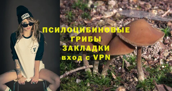 мяу мяу мука Магадан