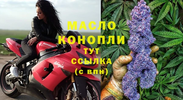 мяу мяу мука Магадан